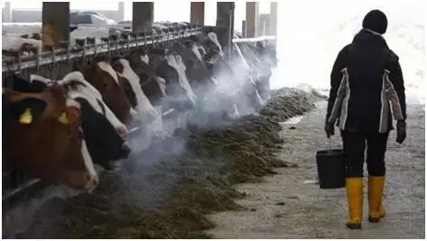 德国奶粉降价,德国真实奶粉价格