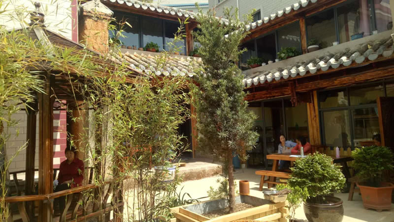 对话罗力瑜：一针济世中医救人