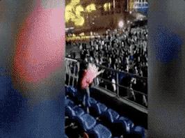 如何看待董卿跪地采访,董卿节目中三次下跪