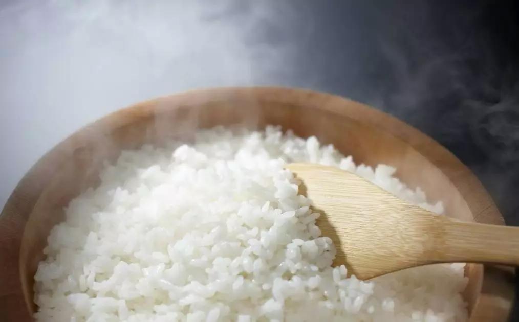 日本饭团减肥又营养,冷冻过的饭团有利于减肥吗