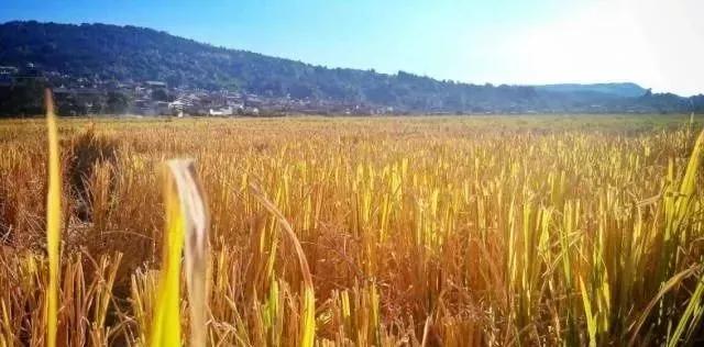 腾冲之美,腾冲曾被徐霞客誉为什么城