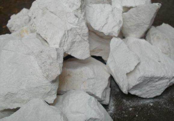 家里的花又招虫了？学会这一招，杀虫药不用买！