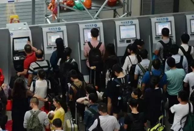 董卿跪,董卿下跪的节目