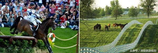 骑马旅游项目经营,马术商业模式