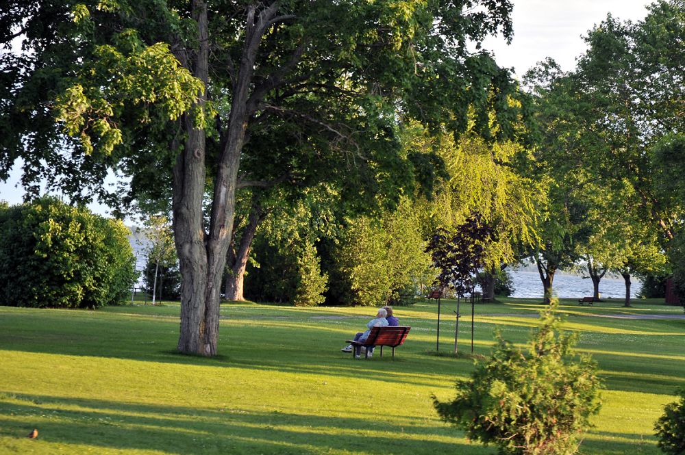 世界十大寻爱之地，凭什么是金斯顿？