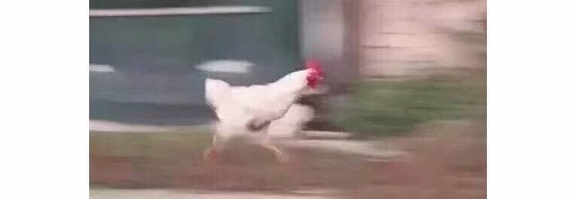 女出租房遭遇坏人该如何自救,深圳女子遭邻居拽进屋