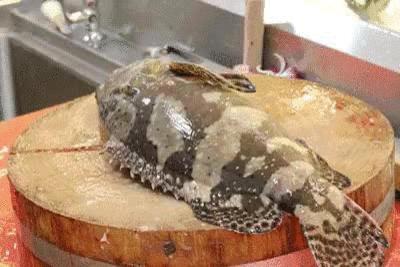 一吃海鲜吃辣就拉肚子,一吃海鲜拉肚子