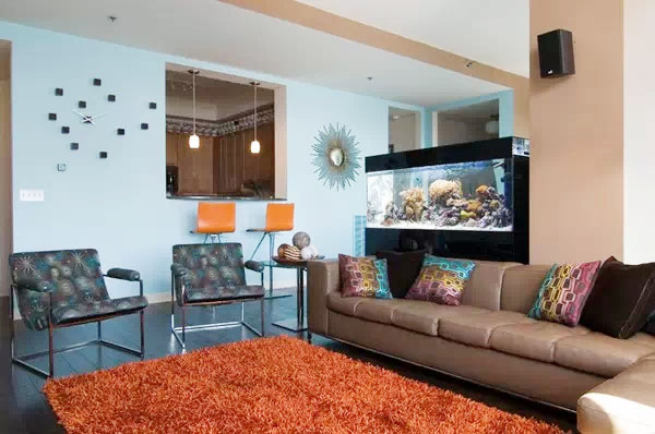 鱼缸别扔,鱼缸放石头的禁忌