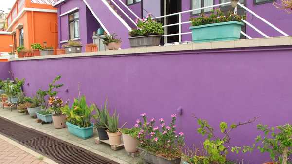 去香港玩的最新攻略,去香港玩一般都去哪里玩