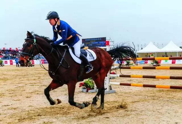 那么多关于温江的回忆,这让我怎么注销QQ