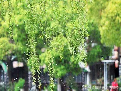 宁静致远散文800字,宁静安详经典散文