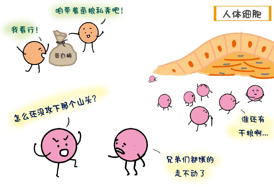 对付猪队友,对付小猪最好的办法