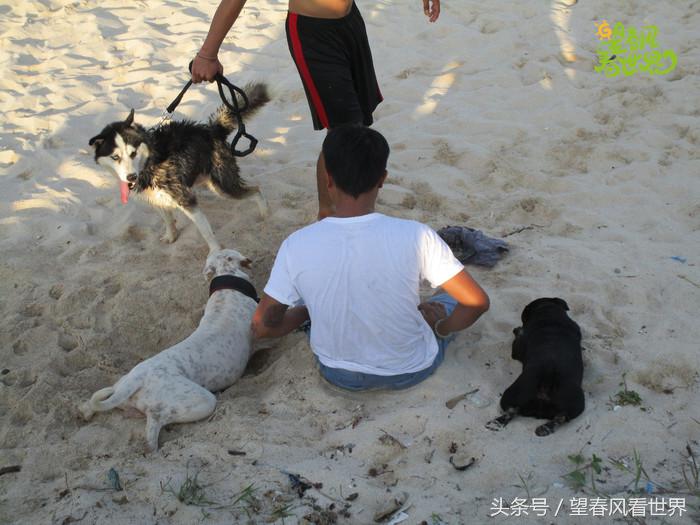 手绘旅行,东山岛旅游手绘游记