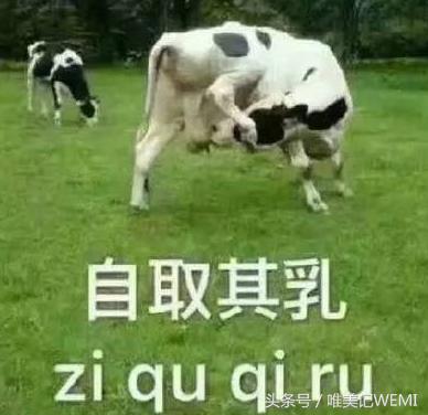 亲民又好用的气垫推荐一下,秒杀大牌的平价气垫