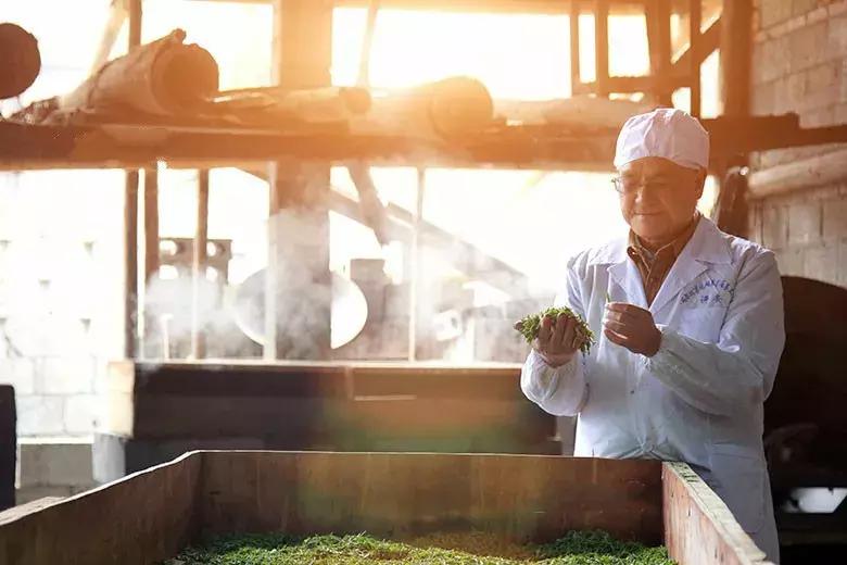 恩施玉露高级感,恩施玉露茶文化