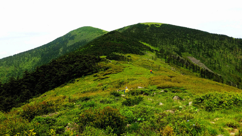 天华山-秦岭梁，又一条风景秀美的一日劲走线路