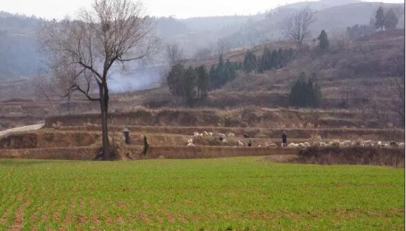 山西乡村旅游去哪里？山西最美乡村巡礼