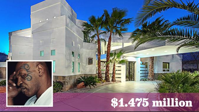 10个泰森力量有多大,100个泰森打十个霸王龙