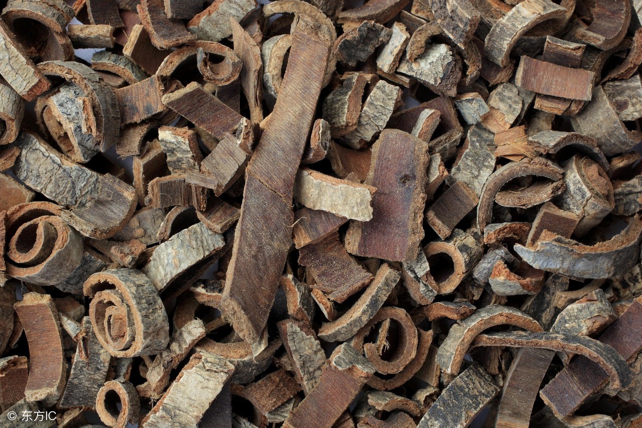 三味中药治风湿骨病,风湿最怕三味中药