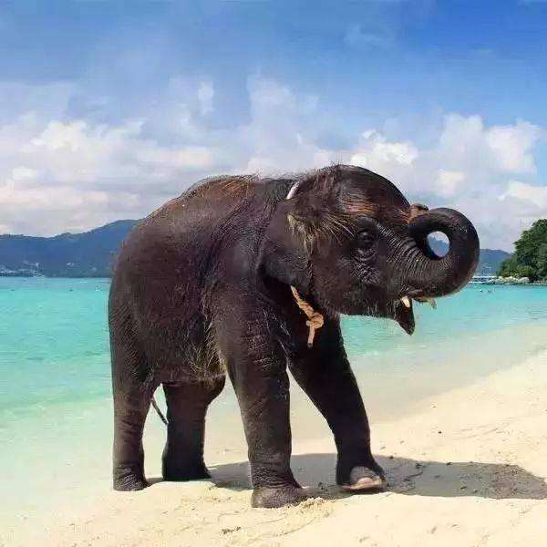 泰国普吉岛旅游攻略及费用,泰国旅游普吉岛攻略