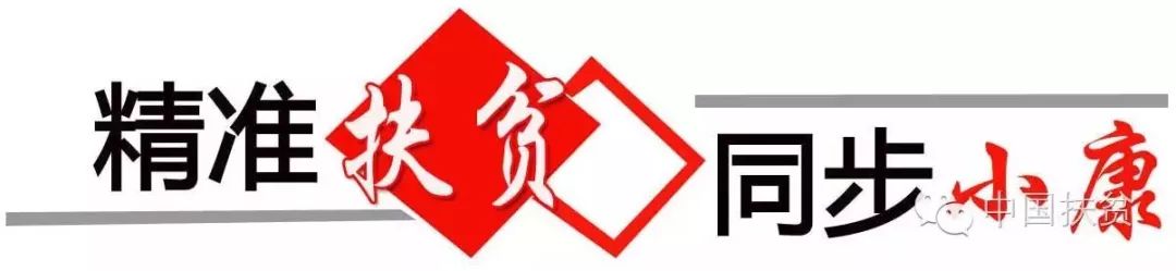 *共中**中央国务院印发《乡村振兴战略规划（2018—2022年）》