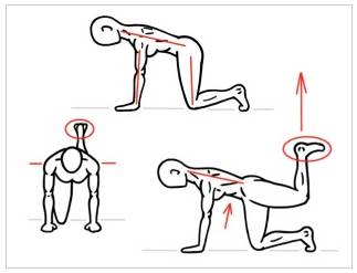 跑步髋关节弹响怎么治,跑步时的髋关节弹响究竟是何原因