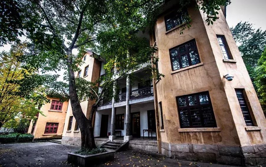 重庆网红vs其他城市网红,重庆成网红