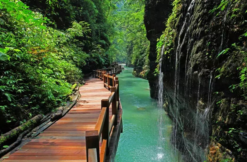 重庆网红vs其他城市网红,重庆成网红