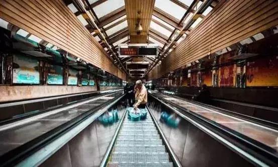 重庆网红vs其他城市网红,重庆成网红