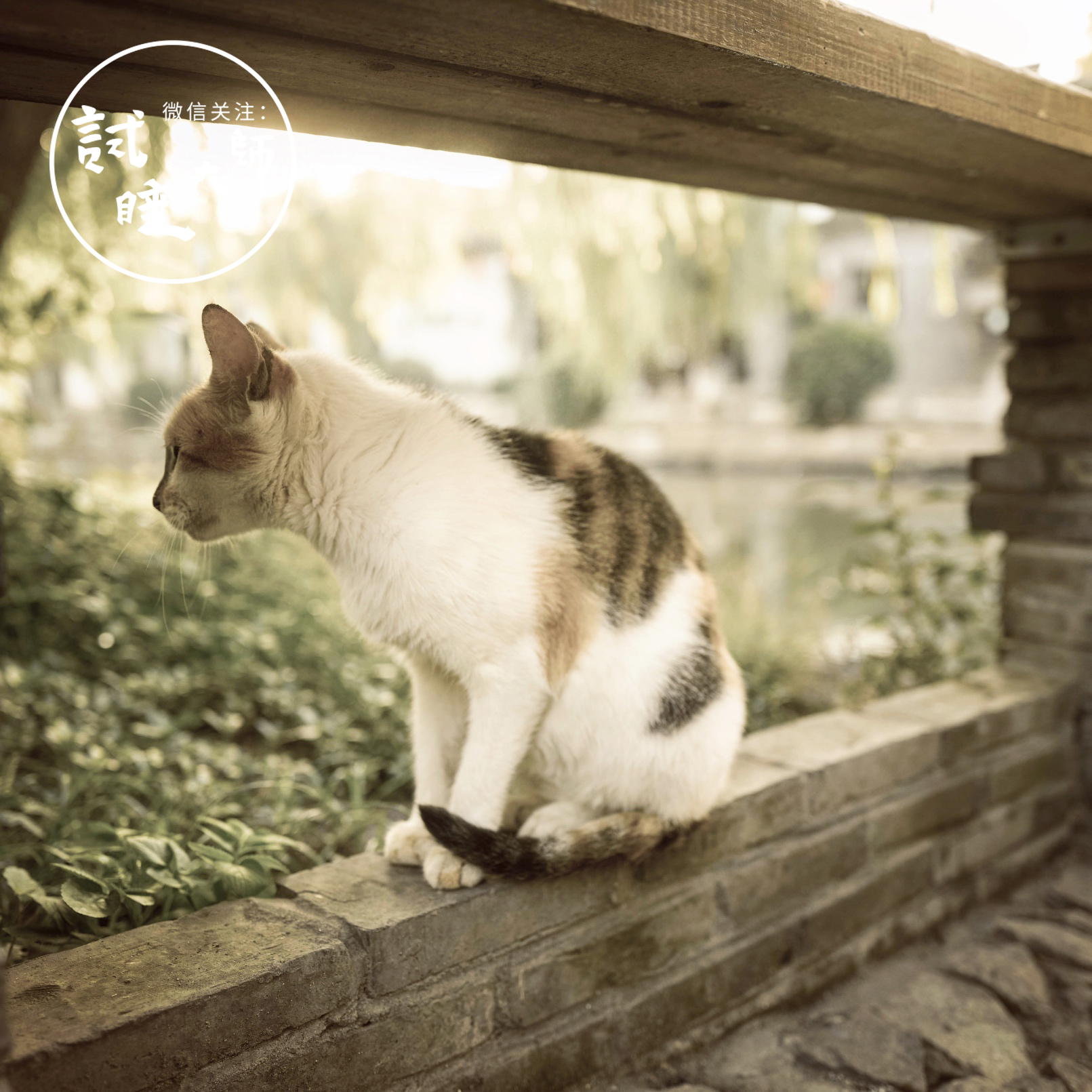 西塘古镇高级民宿推荐,西塘古镇古色古香民宿