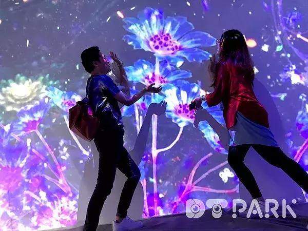 第二十届深圳文博会看点,文博会深圳精彩图片