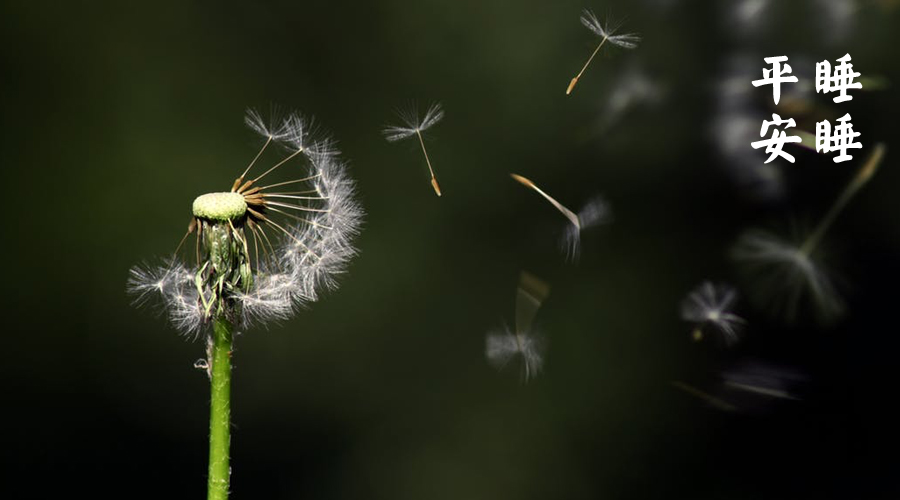 梁冬谈生命的意义,梁冬为什么反转