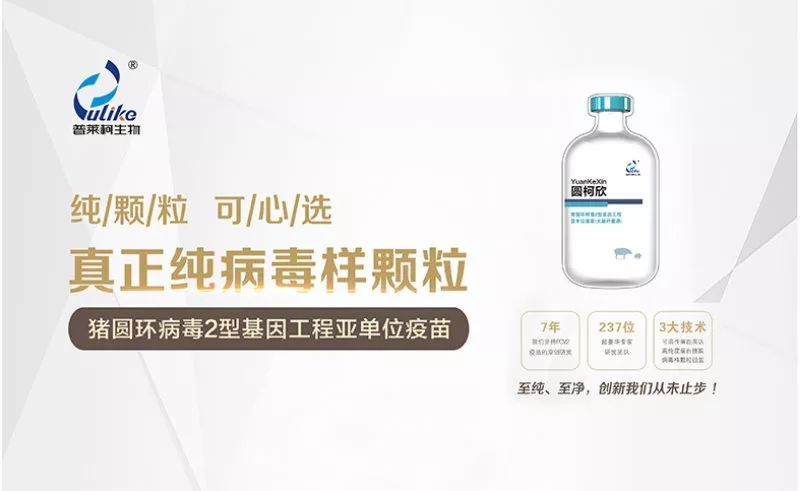 网上卖宠物粮食好卖吗,网上买的宠物粮可以放心吗