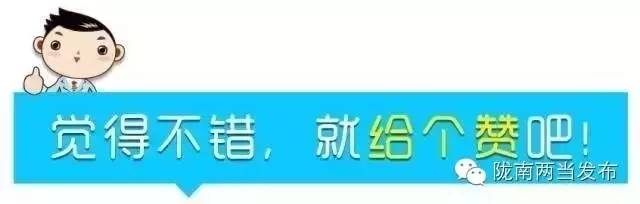 祝贺—两当县亨通狼牙蜜购销专业合作社、两当县站儿巷供销社荣获全省供销合作社系统先进集体！