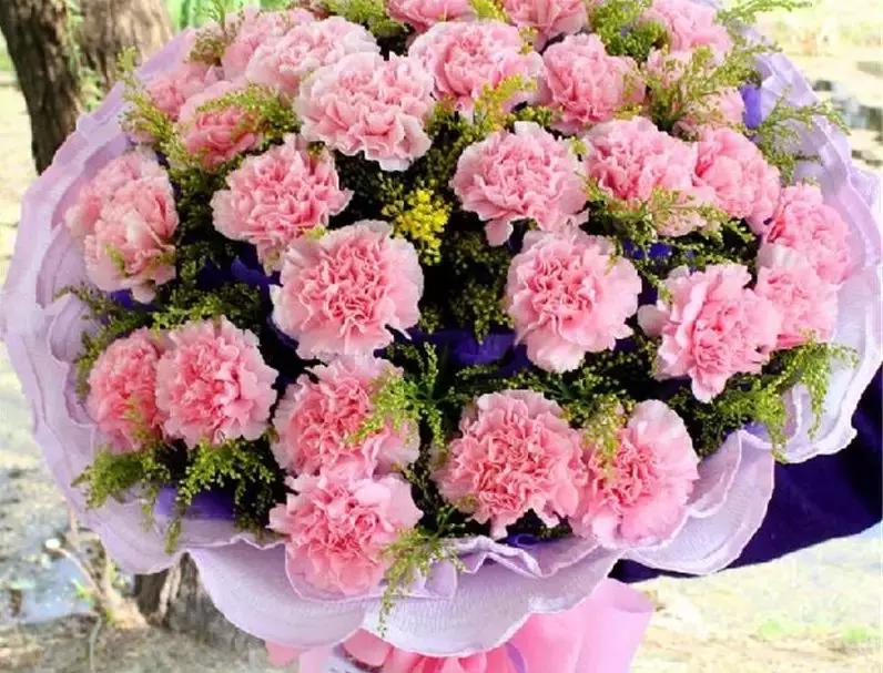 母亲节一束康乃馨送给最亲爱的人,母亲节送妈妈康乃馨图片