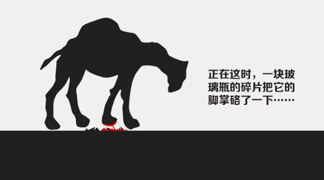 生气的骆驼火遍整个朋友圈,生气的骆驼火遍朋友圈