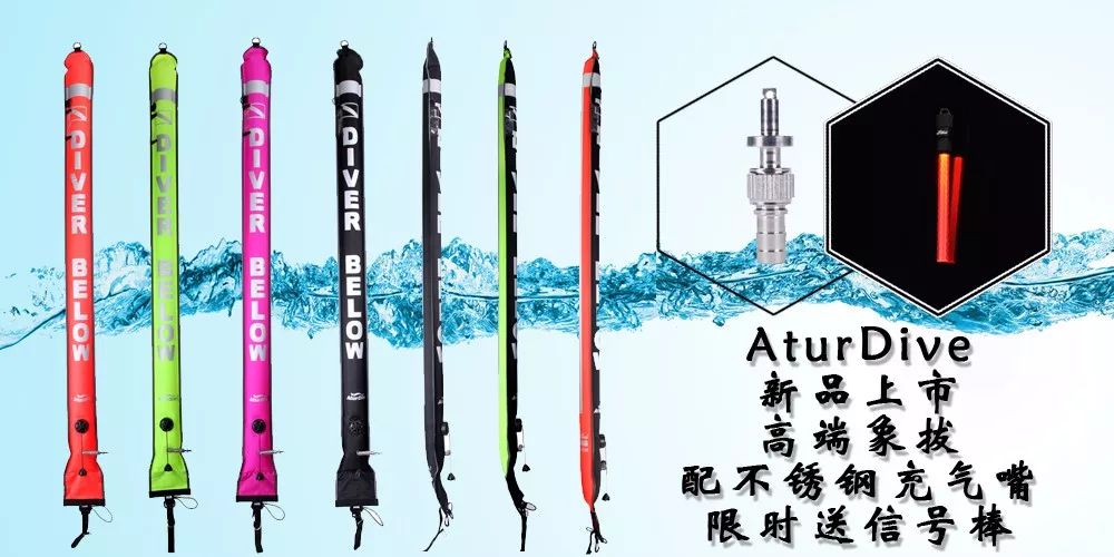 我的表是新表，怎么会有潜水记录？