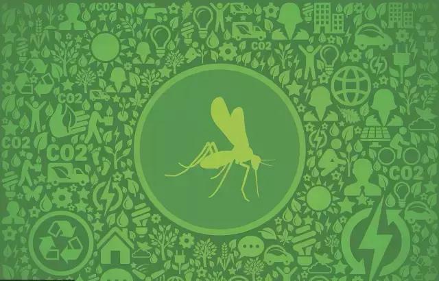 天气热如何灭蚊虫叮咬呢,天热驱蚊虫方法