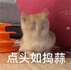 滴滴5天被约谈责令整改,深圳滴滴被叫停了吗