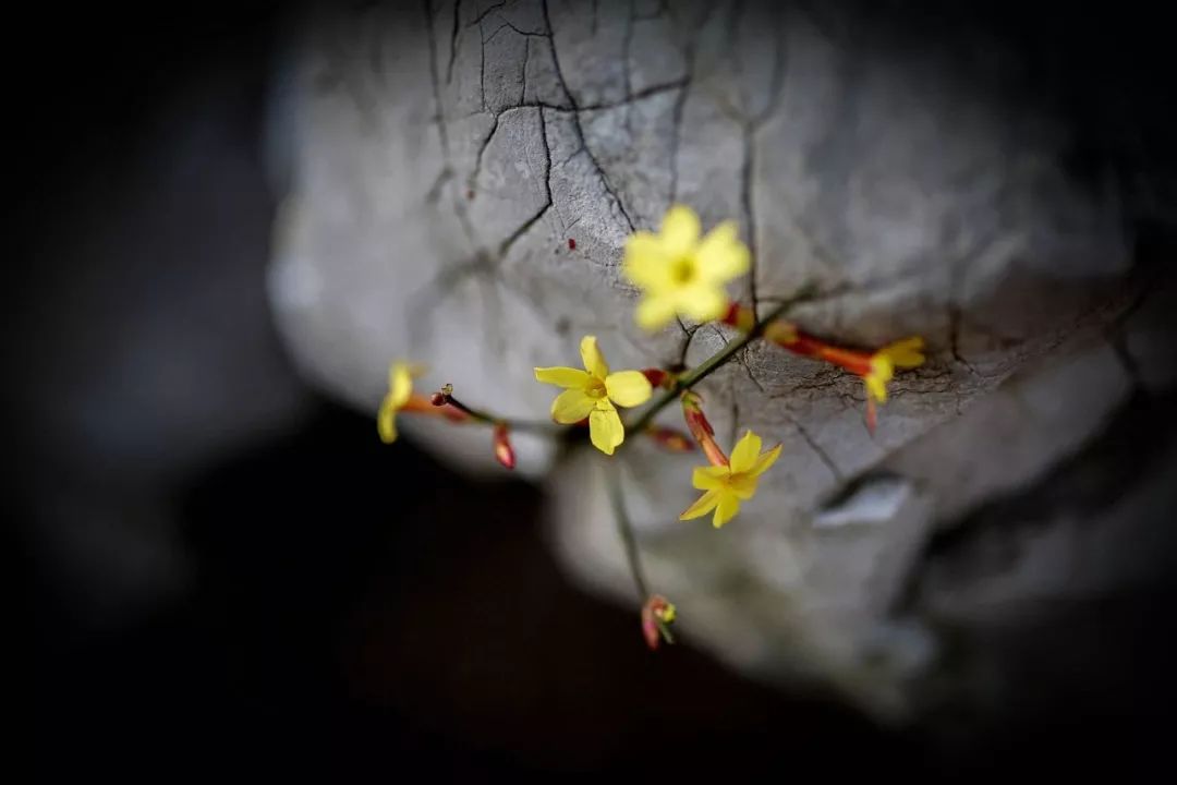 与16岁女孩开房法律规定,满16岁女孩开房法律规定