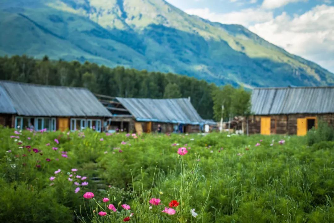 鏃呮父鎻寸枂,鍘﹂棬鎻寸枂鏃呮父鏀荤暐