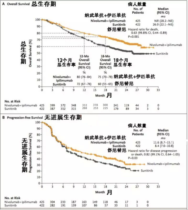 肾癌晚期免疫治疗药物,治疗晚期肾癌用什么方法最好