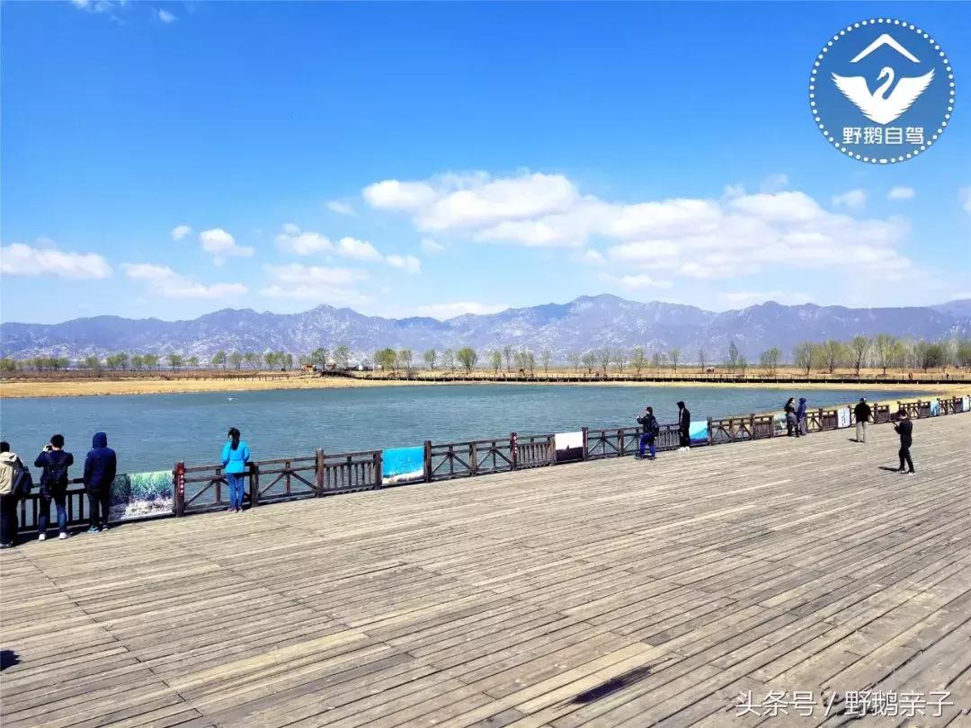 每台大风车造价多少钱,一个大风车造价需要多少钱