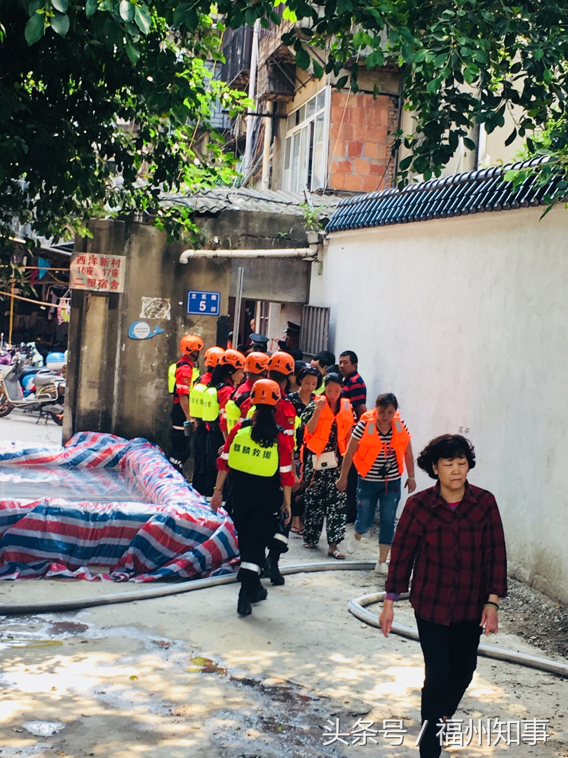 上海黄浦江防汛应急演练,上海防汛抢险通道