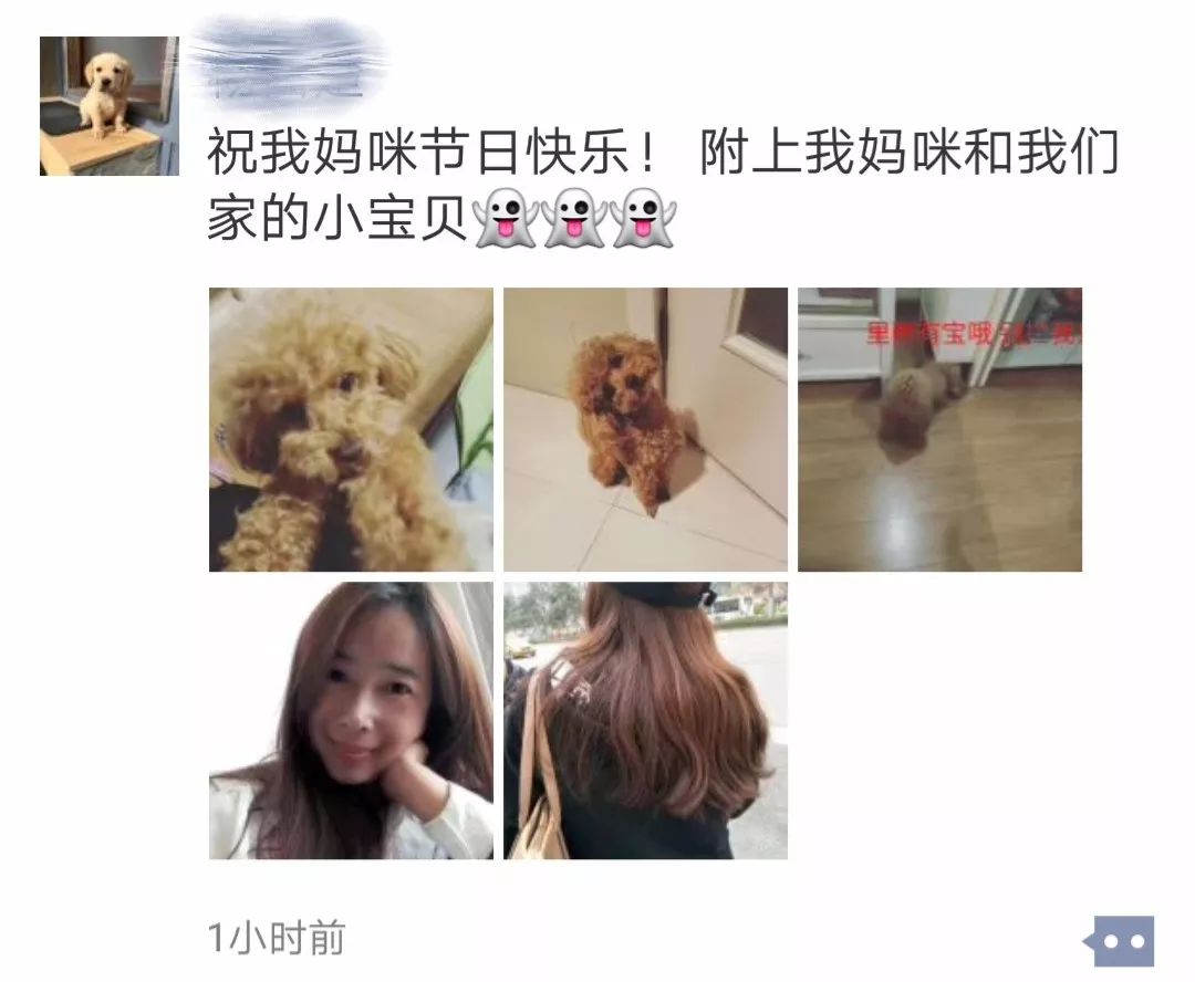 鎴戠殑鎴忕簿濡堝浼樼鑼冩枃,鎴戠殑鎴忕簿濡堝