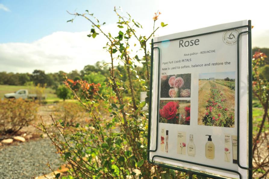 京东全球购美妆,京东全球购溯源