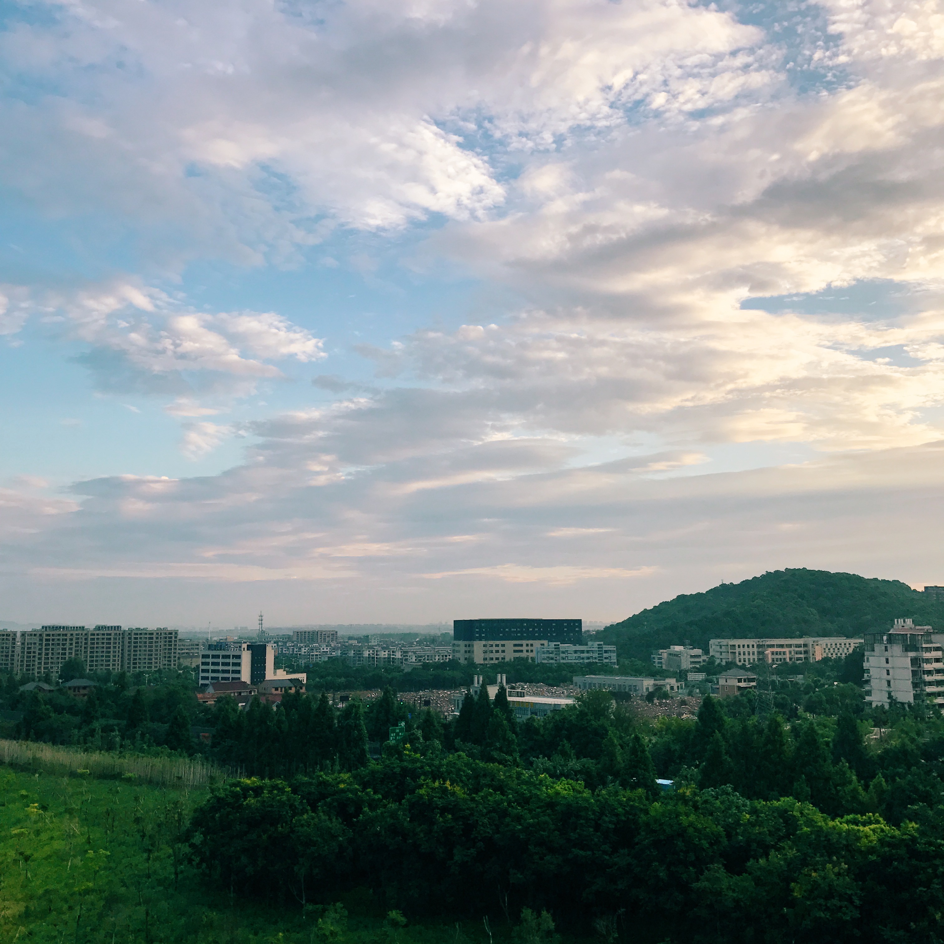 去舟山群岛各个岛只能坐船吗 (舟山坐船去海边哪里最方便)