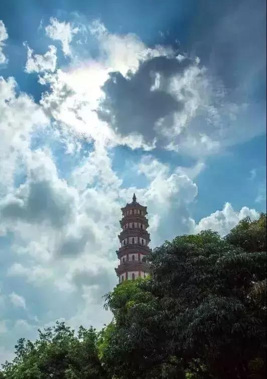 全域旅游｜莲花山保护利用规划出炉！莲花山的定位原来是……