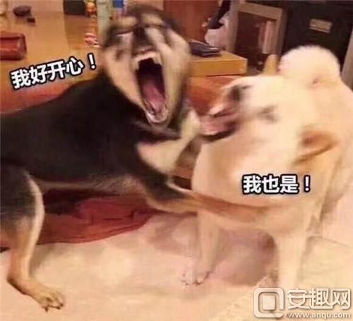 我怀念2011年时候的《推理学院》,再见了葫芦哥和贞子姐