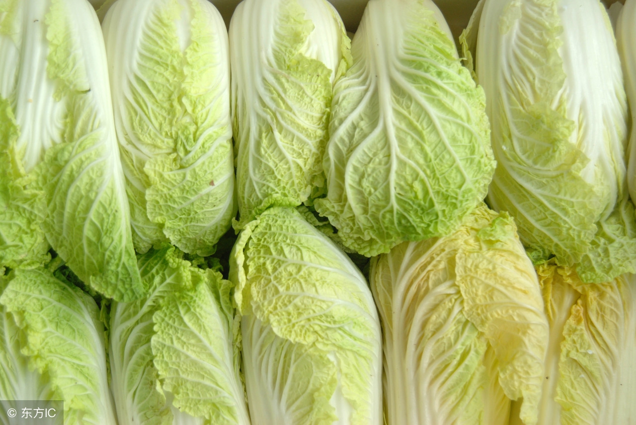 乳腺增生和用力揉搓有关吗,减缓乳腺增生的操